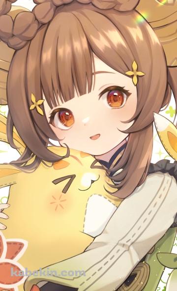 かわいいヨォーヨ / 月桂 / 原神のAndroidの壁紙(360px x 592px) スマホ用