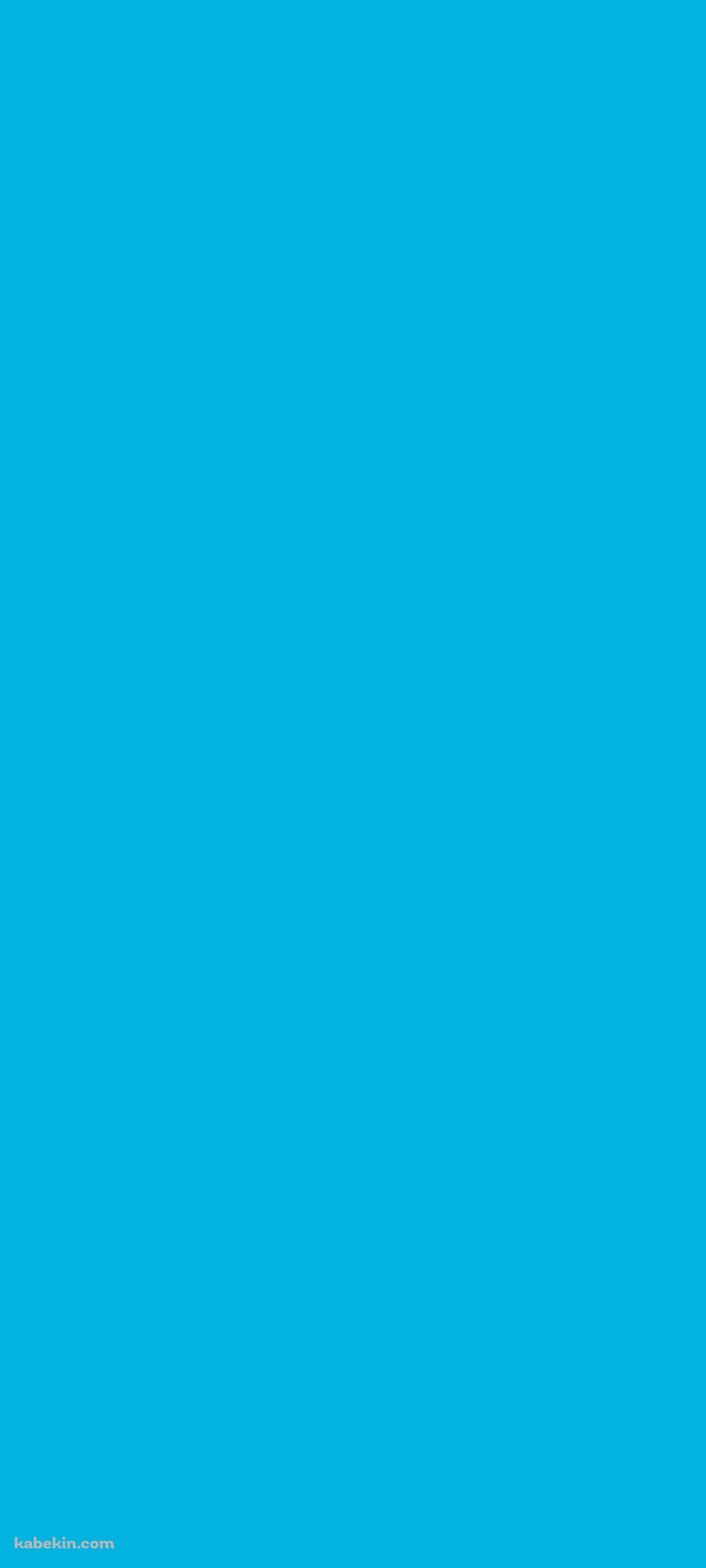 明るい水色 / 単色 / ベタ塗りのAndroidの壁紙(1080px x 2400px) スマホ用