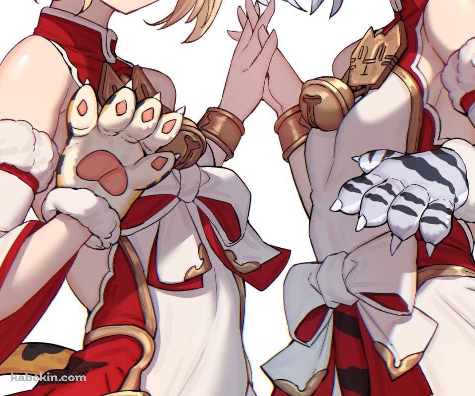 手を合わせるパイとフアン / グラブル / グランブルーファンタジーのAndroidの壁紙(960px x 800px) スマホ用