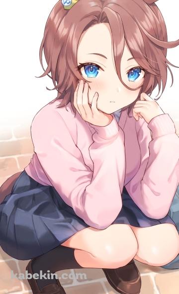 しゃがんでいる可愛いナリタタイシン / ウマ娘プリティーダービーのAndroidの壁紙(360px x 592px) スマホ用