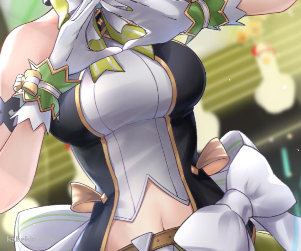 大空スバル / スバルドダック / ホロライブ / バーチャルYouTuberのAndroidの壁紙(960px x 800px) スマホ用