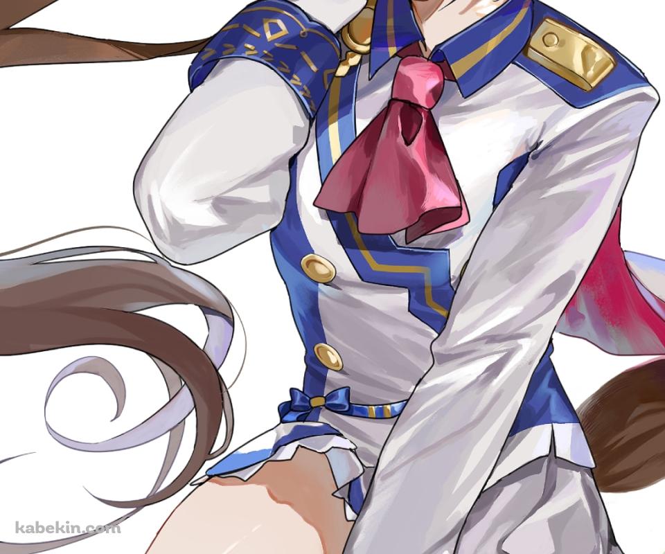 しゃがんでこちらににっこりするトウカイテイオー / ウマ娘プリティーダービーのAndroidの壁紙(960px x 800px) スマホ用