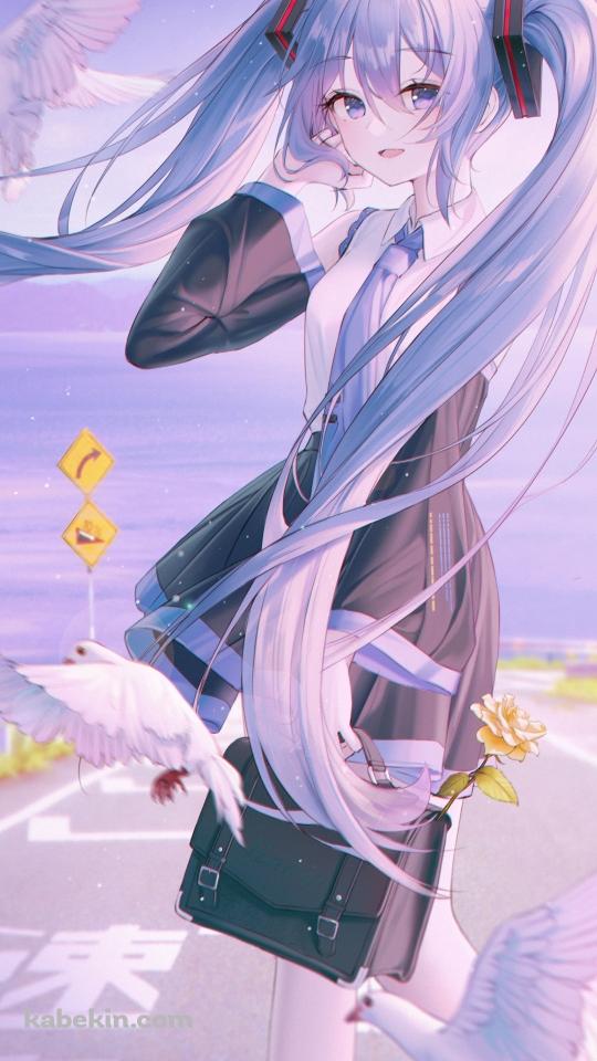 海沿いの道 / 白い鳩 / 初音ミク / 速度制限 / ボカロ / ボーカロイドのAndroidの壁紙(540px x 960px) スマホ用