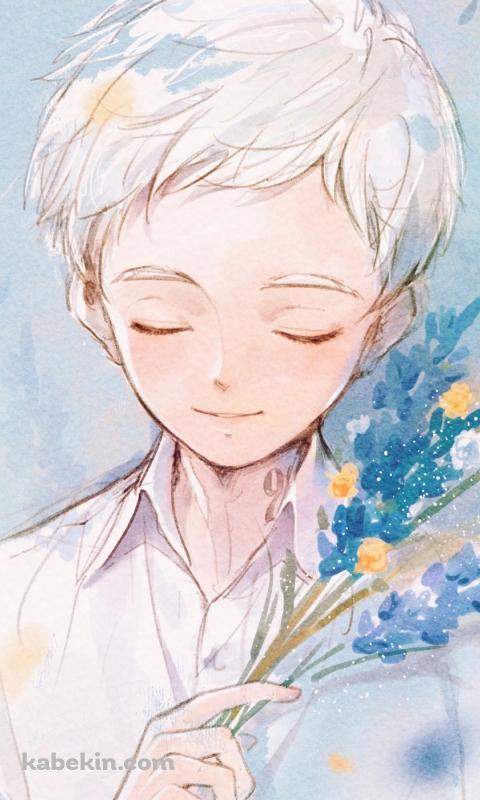 目をつぶり青い花を持つノーマン / 約束のネバーランドのAndroidの壁紙(480px x 800px) スマホ用