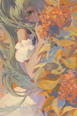 オレンジの花と初音ミク / ボカロ / ボーカロイドのAndroidの壁紙(320px x 480px) スマホ用