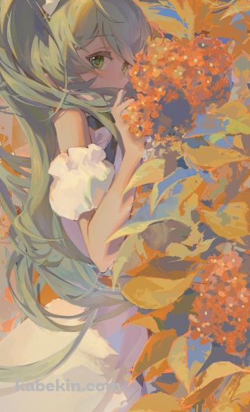 オレンジの花と初音ミク / ボカロ / ボーカロイドのAndroidの壁紙(360px x 592px) スマホ用