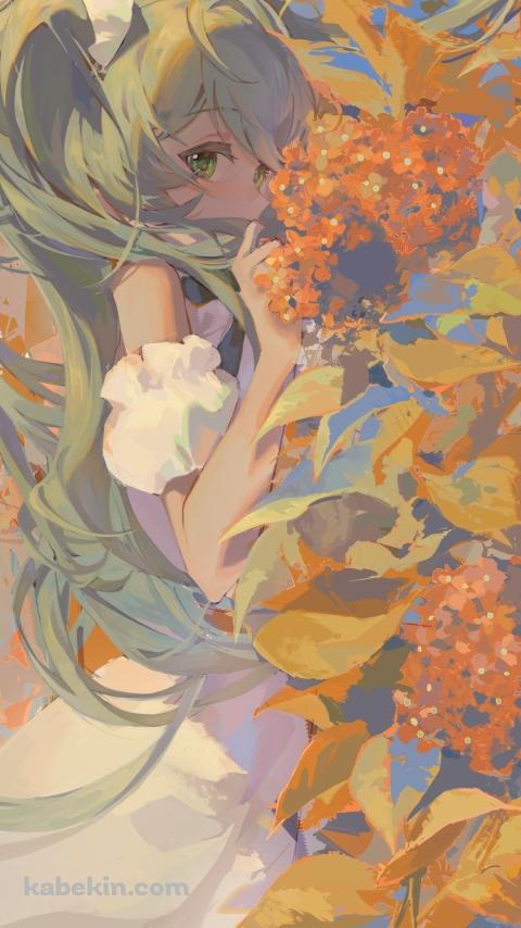 オレンジの花と初音ミク / ボカロ / ボーカロイドのAndroidの壁紙(480px x 854px) スマホ用