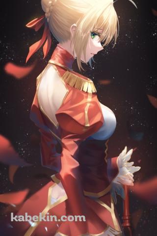 赤い花びらと綺麗なネロ・クラウディウス / fate/extra / イラスト / ファンアートのAndroidの壁紙(320px x 480px) スマホ用