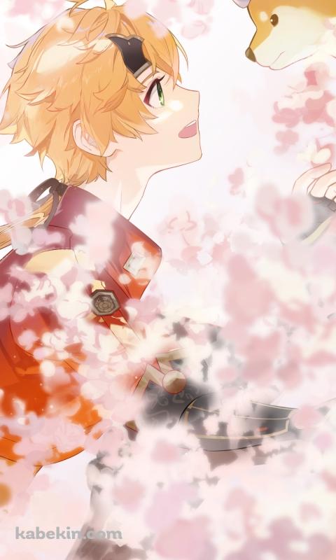 見つめ合うトーマと太郎丸 / 桜 / 原神のAndroidの壁紙(480px x 800px) スマホ用