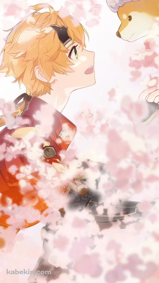 見つめ合うトーマと太郎丸 / 桜 / 原神のAndroidの壁紙(540px x 960px) スマホ用