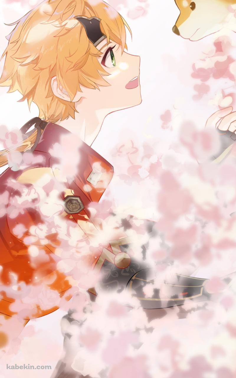 見つめ合うトーマと太郎丸 / 桜 / 原神のAndroidの壁紙(800px x 1280px) スマホ用