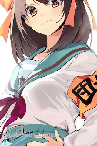 腰に手をあててドヤ顔の涼宮ハルヒ / 団長 / 涼宮ハルヒの憂鬱のAndroidの壁紙(320px x 480px) スマホ用