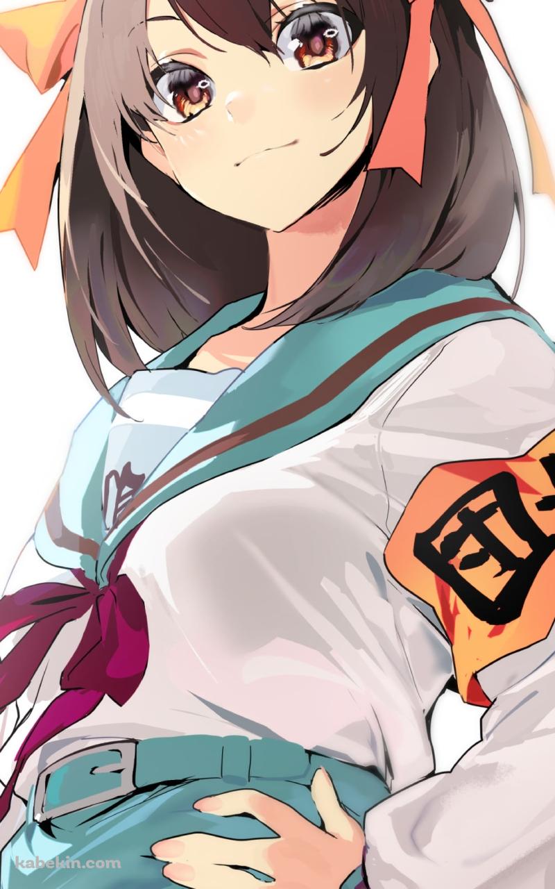 腰に手をあててドヤ顔の涼宮ハルヒ / 団長 / 涼宮ハルヒの憂鬱のAndroidの壁紙(800px x 1280px) スマホ用