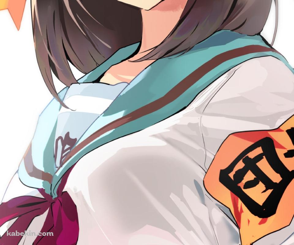 腰に手をあててドヤ顔の涼宮ハルヒ / 団長 / 涼宮ハルヒの憂鬱のAndroidの壁紙(960px x 800px) スマホ用
