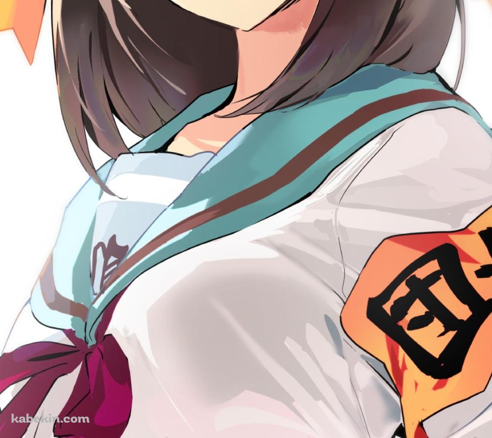 腰に手をあててドヤ顔の涼宮ハルヒ / 団長 / 涼宮ハルヒの憂鬱のAndroidの壁紙(960px x 854px) スマホ用
