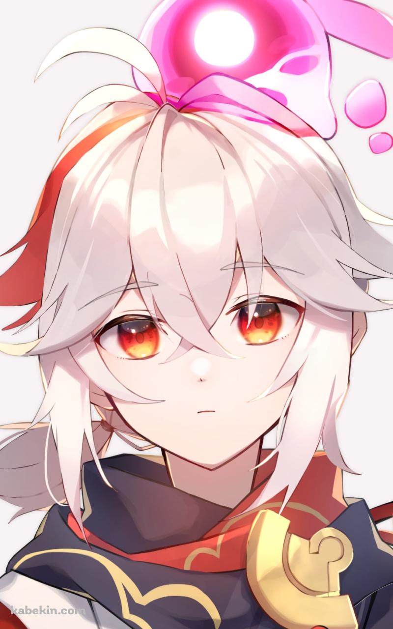 不思議そうな楓原万葉（かえではらかずは） / 原神のAndroidの壁紙(800px x 1280px) スマホ用