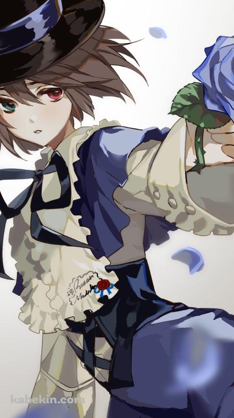 紫の薔薇を持つ蒼星石 / シルクハット / ローゼンメイデンのAndroidの壁紙(480px x 854px) スマホ用