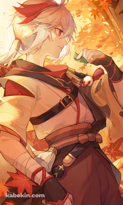 紅葉の中で緑の草を掴むかっこいい楓原万葉（かえではらかずは） / 原神のAndroidの壁紙(480px x 800px) スマホ用
