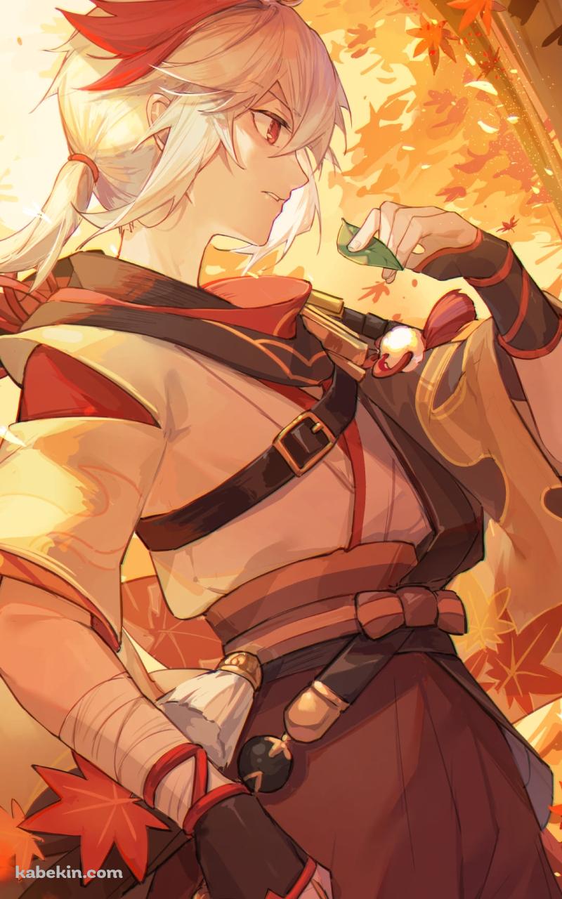 紅葉の中で緑の草を掴むかっこいい楓原万葉（かえではらかずは） / 原神のAndroidの壁紙(800px x 1280px) スマホ用