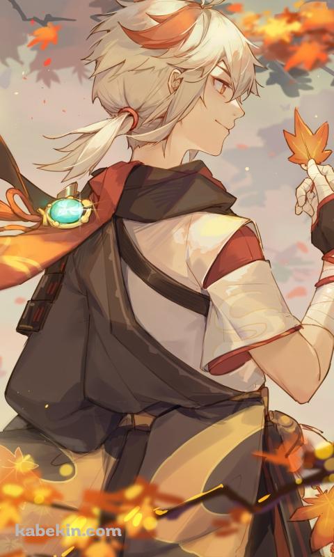楓の葉を掴むかっこいい楓原万葉（かえではらかずは） / 秋 / 原神のAndroidの壁紙(480px x 800px) スマホ用