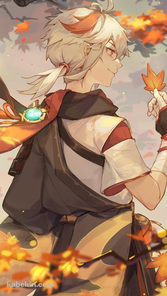 楓の葉を掴むかっこいい楓原万葉（かえではらかずは） / 秋 / 原神のAndroidの壁紙(540px x 960px) スマホ用