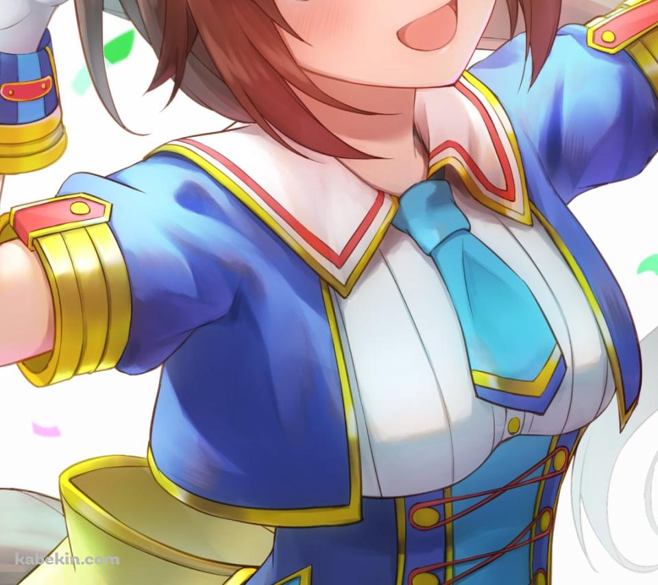 優勝して喜ぶトウカイテイオー / 可愛い / 紙吹雪 / ウマ娘プリティーダービーのAndroidの壁紙(960px x 854px) スマホ用