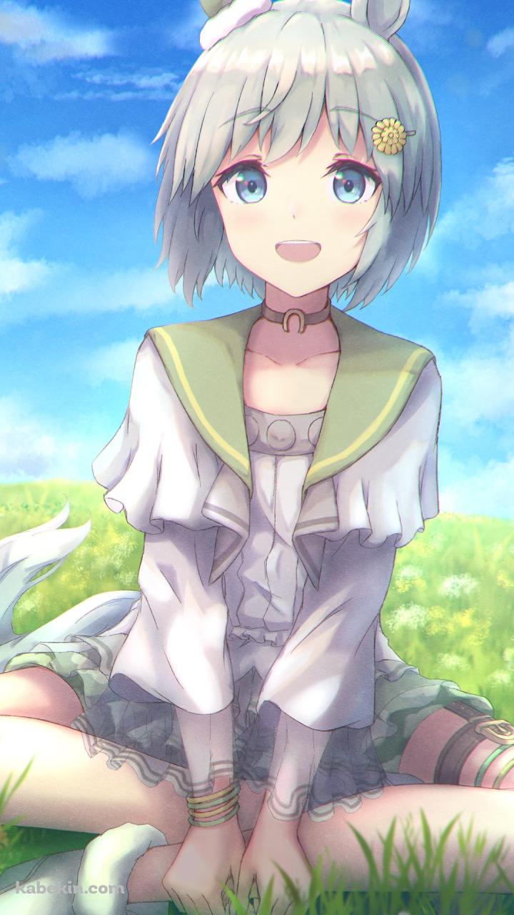 青空の下、草原の上で胡坐をかくセイウンスカイ / ウマ娘プリティーダービーのAndroidの壁紙(720px x 1280px) スマホ用