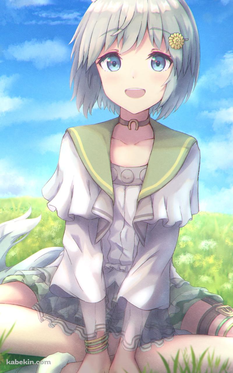青空の下、草原の上で胡坐をかくセイウンスカイ / ウマ娘プリティーダービーのAndroidの壁紙(800px x 1280px) スマホ用