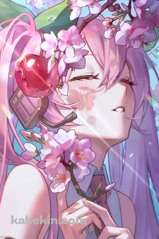 桜の花に顔を近づける可愛い桜ミク / サクランボの髪飾り / 初音ミク / ボカロ / ボーカロイドのAndroidの壁紙(320px x 480px) スマホ用