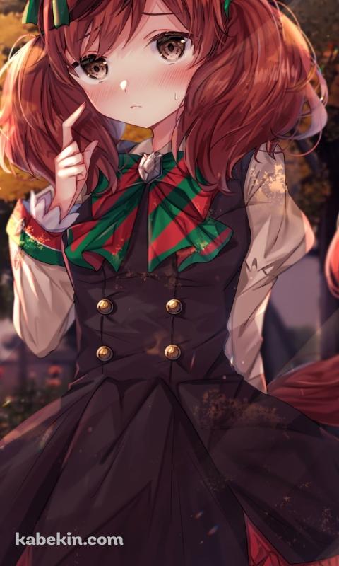 紅葉の中に佇むナイスネイチャ / ウマ娘プリティーダービーのAndroidの壁紙(480px x 800px) スマホ用