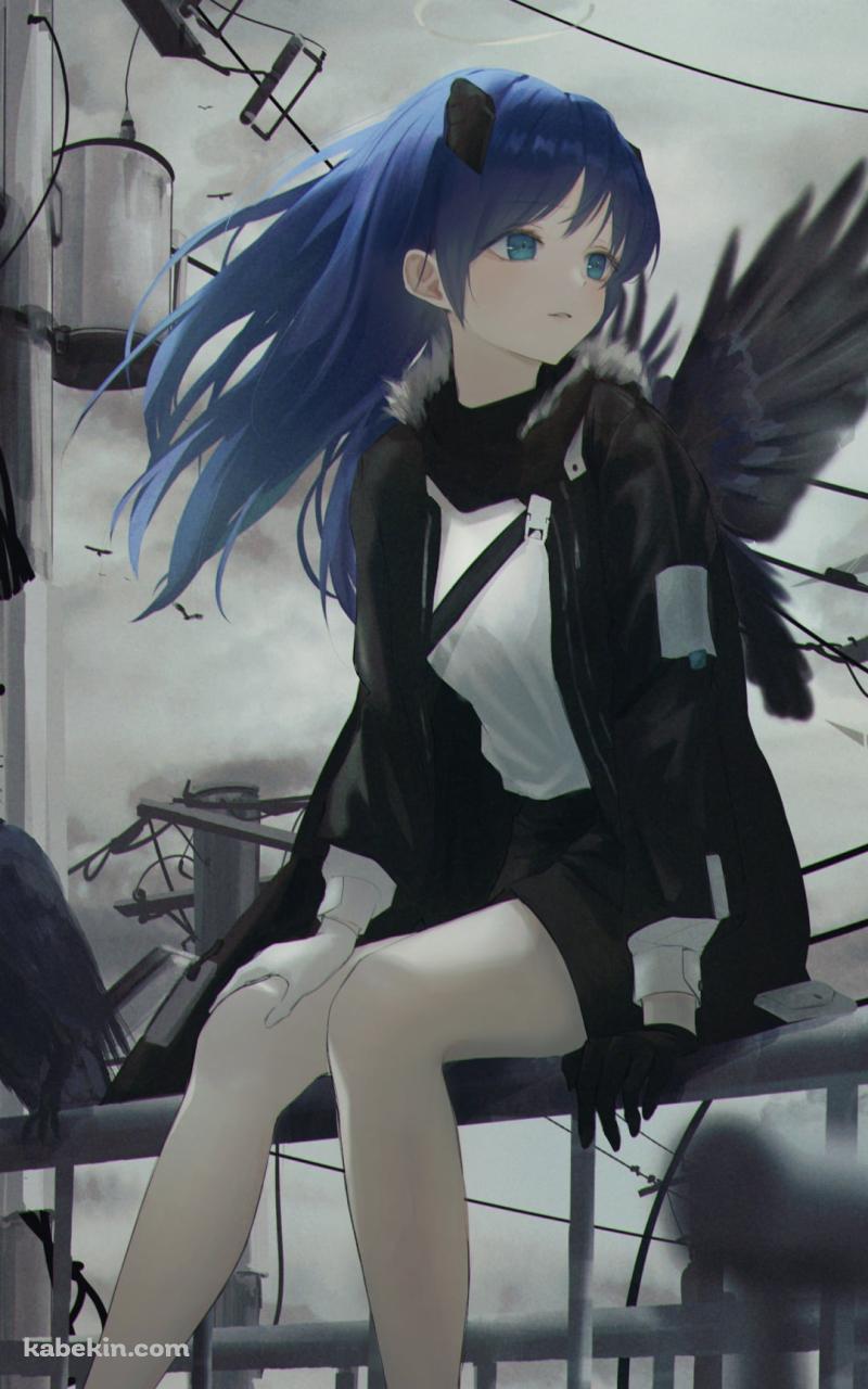 鉄柵に座るモスティマとカラス / 電柱 / 曇り空 / アークナイツのAndroidの壁紙(800px x 1280px) スマホ用