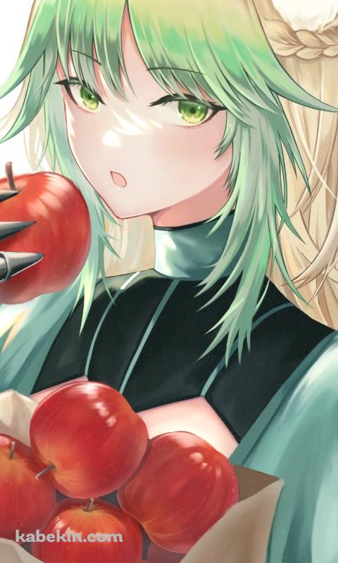 沢山の赤いリンゴが入った紙袋を抱えるアタランテ / fate/grand orderのAndroidの壁紙(480px x 800px) スマホ用