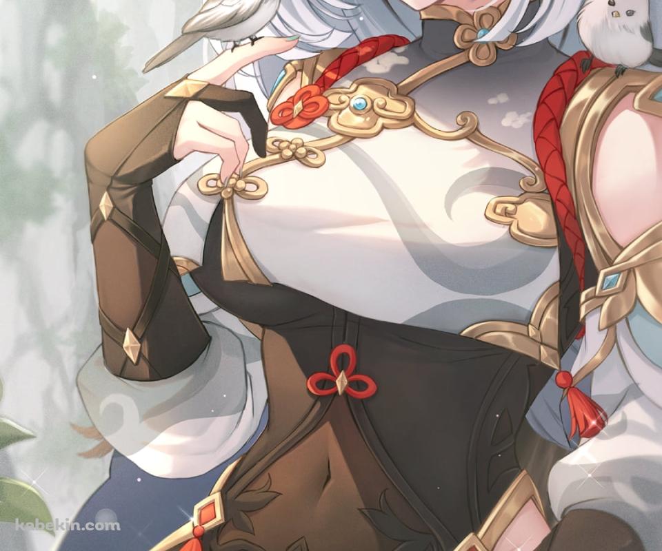 白と茶色の鳥と戯れる申鶴 / 原神のAndroidの壁紙(960px x 800px) スマホ用