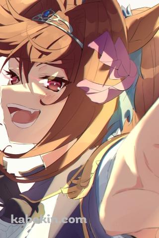 ドヤ顔で指をさすダイワスカーレット / ウマ娘プリティーダービーのAndroidの壁紙(320px x 480px) スマホ用