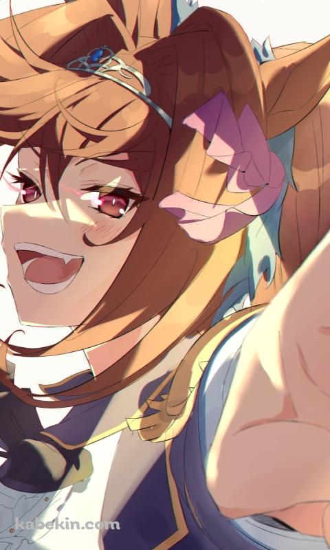 ドヤ顔で指をさすダイワスカーレット / ウマ娘プリティーダービーのAndroidの壁紙(480px x 800px) スマホ用