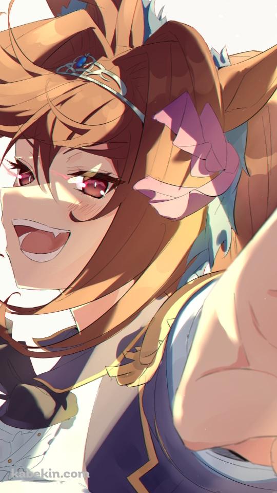 ドヤ顔で指をさすダイワスカーレット / ウマ娘プリティーダービーのAndroidの壁紙(540px x 960px) スマホ用