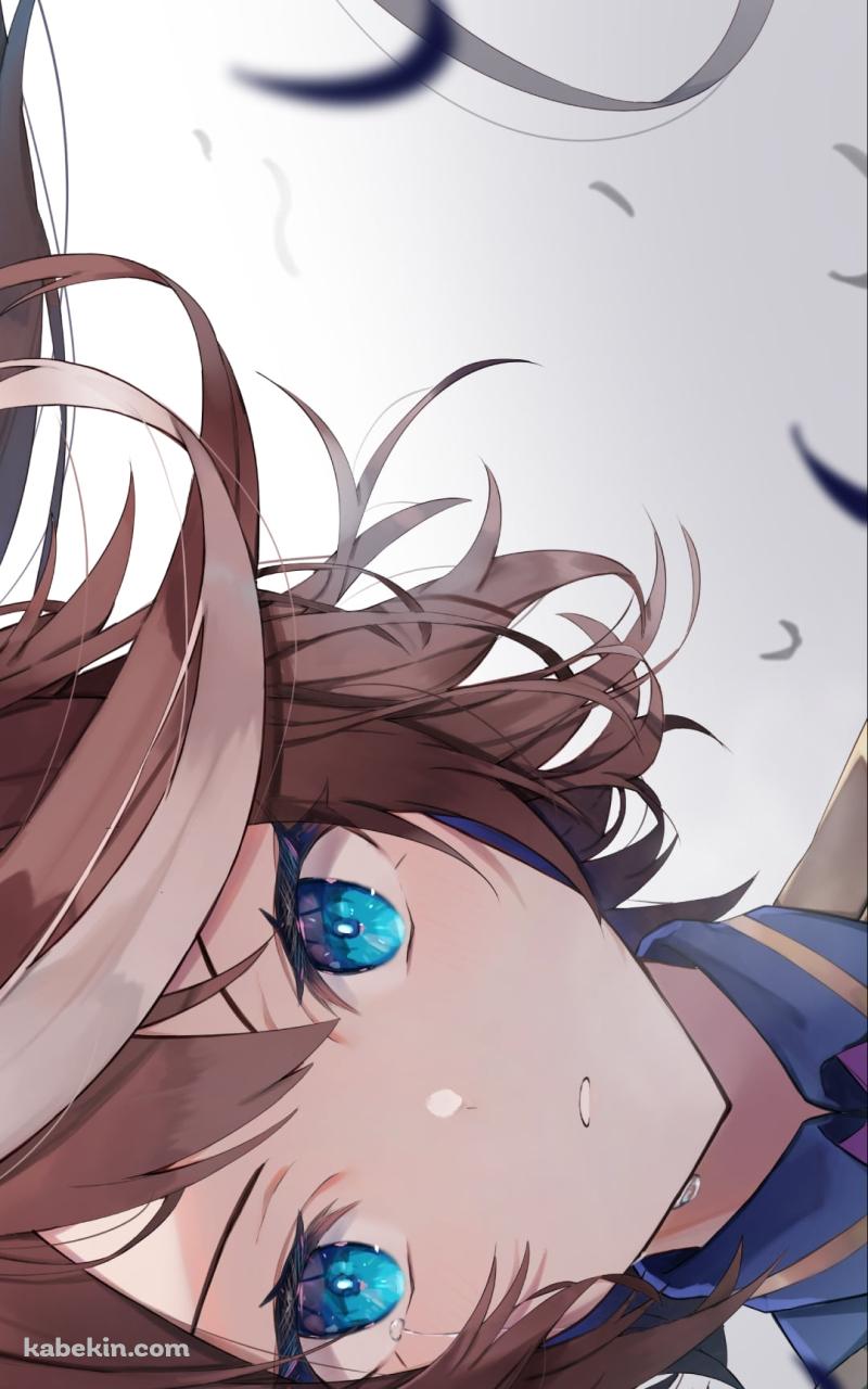 青い瞳の凛々しいトウカイテイオー / ウマ娘プリティーダービーのAndroidの壁紙(800px x 1280px) スマホ用