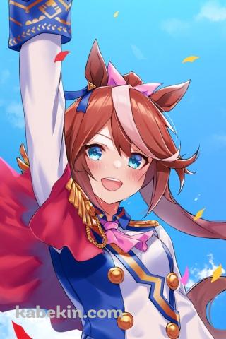 天高くピースを掲げるトウカイテイオー / ウマ娘プリティーダービーのAndroidの壁紙(320px x 480px) スマホ用