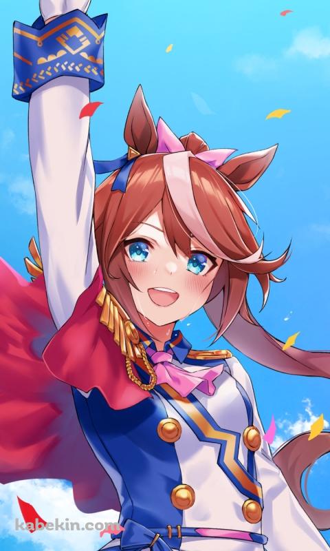 天高くピースを掲げるトウカイテイオー / ウマ娘プリティーダービーのAndroidの壁紙(480px x 800px) スマホ用