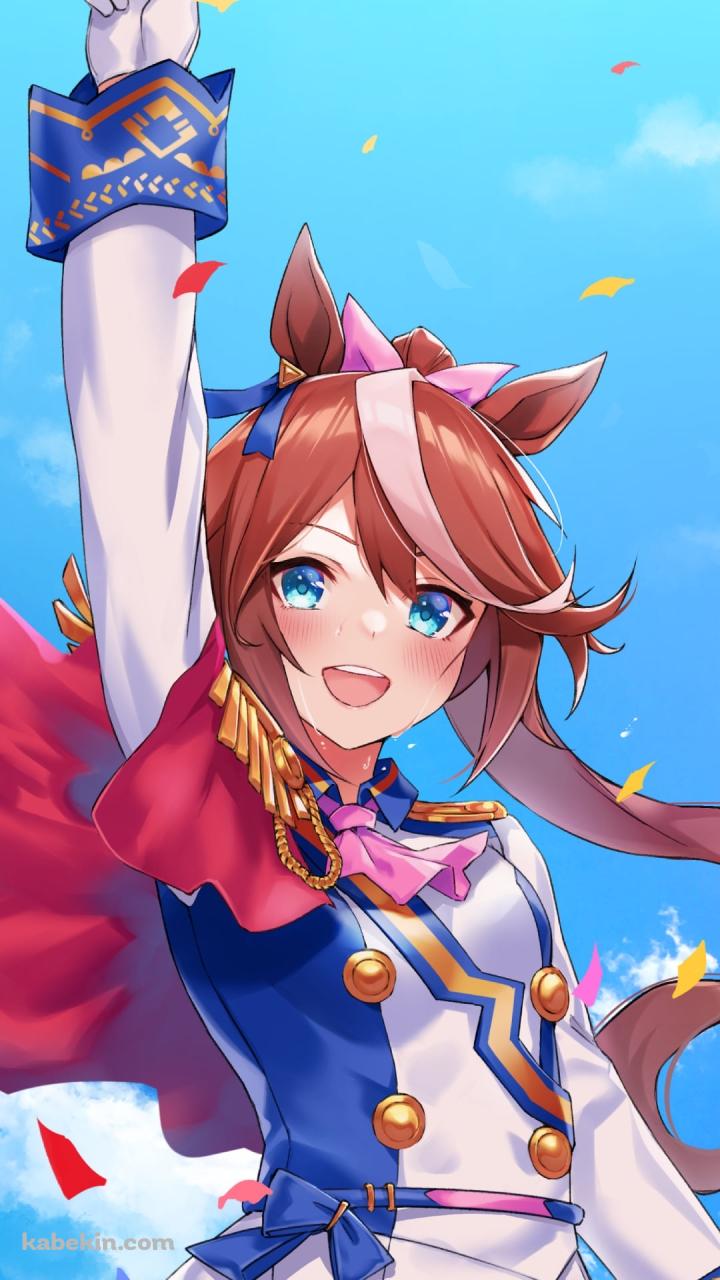 天高くピースを掲げるトウカイテイオー / ウマ娘プリティーダービーのAndroidの壁紙(720px x 1280px) スマホ用