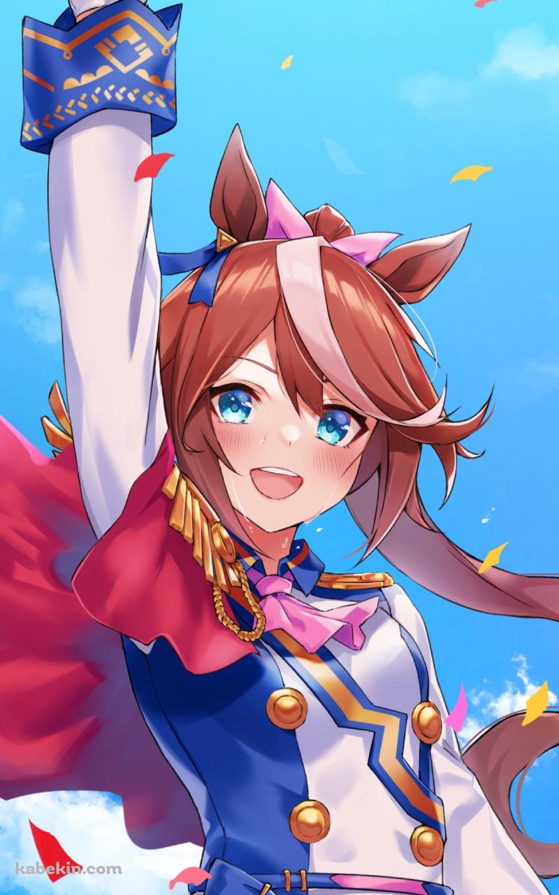 天高くピースを掲げるトウカイテイオー / ウマ娘プリティーダービーのAndroidの壁紙(800px x 1280px) スマホ用