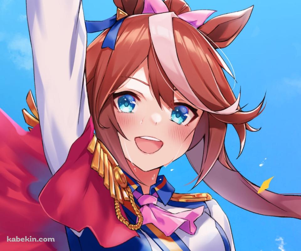 天高くピースを掲げるトウカイテイオー / ウマ娘プリティーダービーのAndroidの壁紙(960px x 800px) スマホ用
