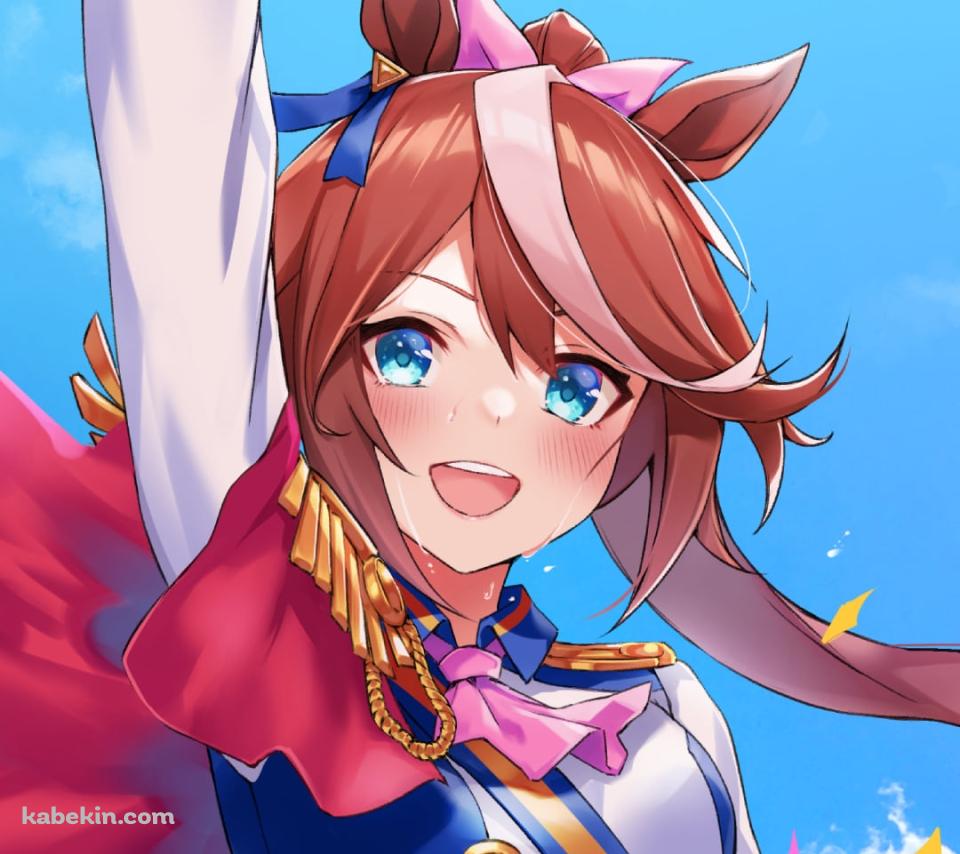 天高くピースを掲げるトウカイテイオー / ウマ娘プリティーダービーのAndroidの壁紙(960px x 854px) スマホ用