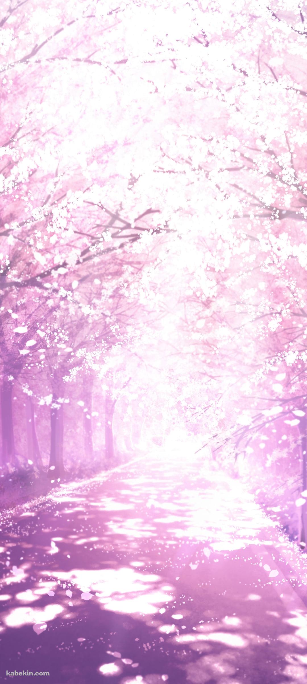 綺麗な桜の並木道 / イラスト / 木漏れ日のAndroidの壁紙(1080px x 2400px) スマホ用