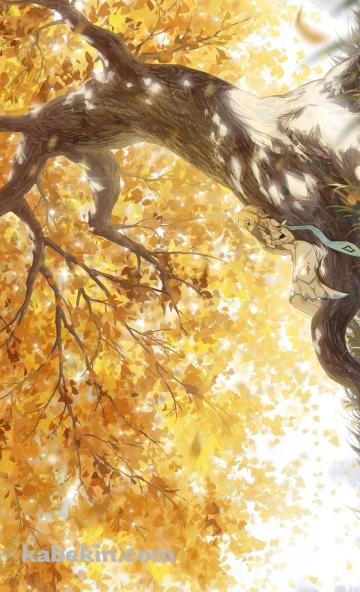 大木の幹に寝そべる蛍 / 紅葉 / 原神のAndroidの壁紙(360px x 592px) スマホ用