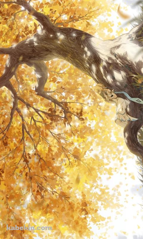 大木の幹に寝そべる蛍 / 紅葉 / 原神のAndroidの壁紙(480px x 800px) スマホ用