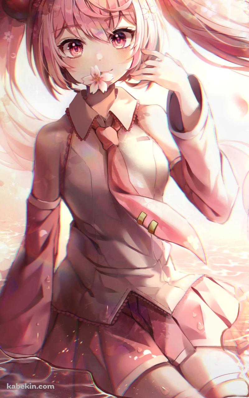 水に浸かる桜の花びらを咥えた可愛い桜ミク / ボカロ / ボーカロイドのAndroidの壁紙(800px x 1280px) スマホ用
