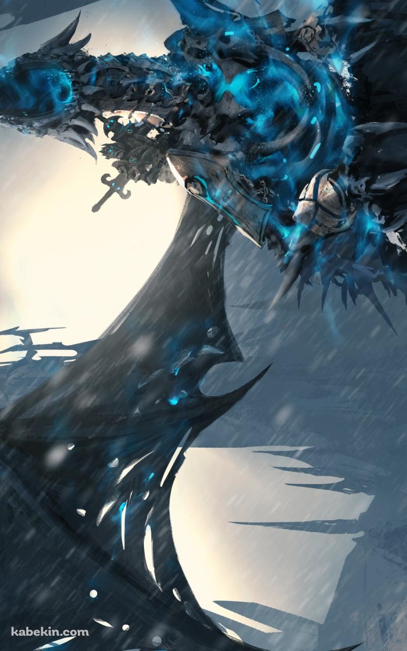 ドラゴンに乗った二刀流の剣士 / World of WarcraftのAndroidの壁紙(800px x 1280px) スマホ用