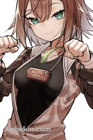 どや顔でファイティングポーズを取る可愛い文野環 / にじさんじ / バーチャルYouTuber / VtuberのAndroidの壁紙(320px x 480px) スマホ用