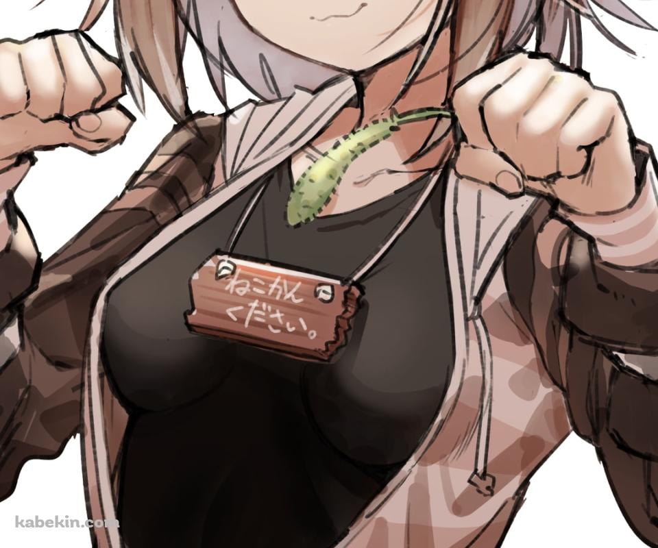 どや顔でファイティングポーズを取る可愛い文野環 / にじさんじ / バーチャルYouTuber / VtuberのAndroidの壁紙(960px x 800px) スマホ用